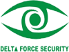 Delta Force Security.